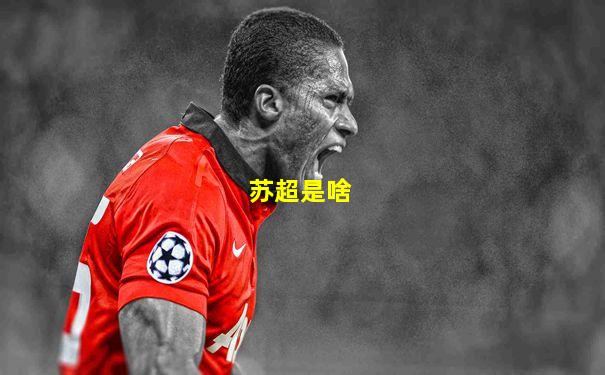 苏超是啥